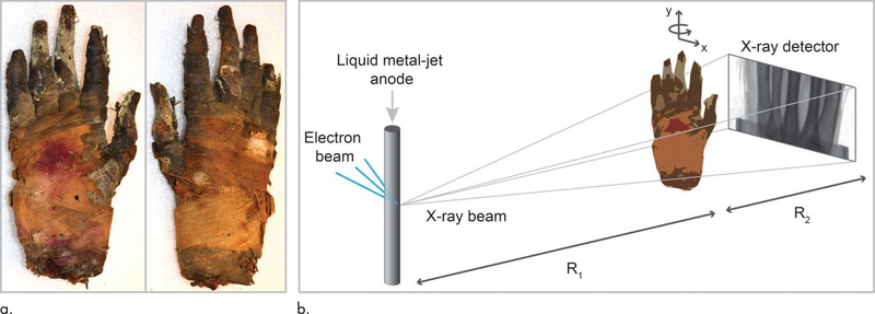 (a) Top and bottom views of the mummified hand; (b) A schematic of the experimental arrangement shows microfocus x-ray source, sample placed on rotation stage, and x-ray detector.